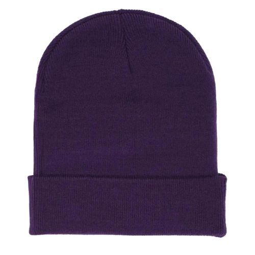 Sp5der Web Rhinestone Beanie Purple