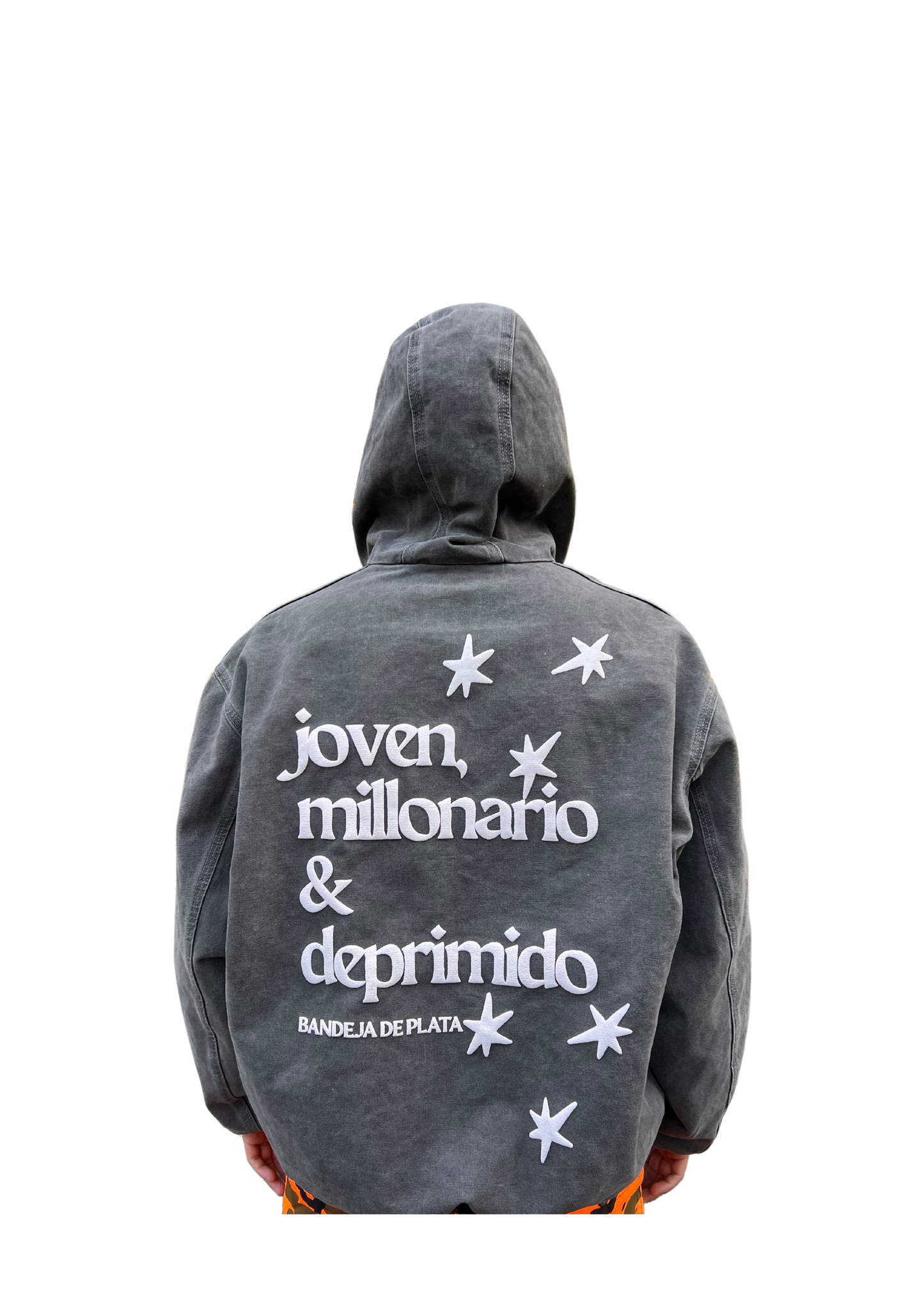 bandeja de plata Chamarra Zipup Hoodie "joven, millonario & deprimido" Washed Grey