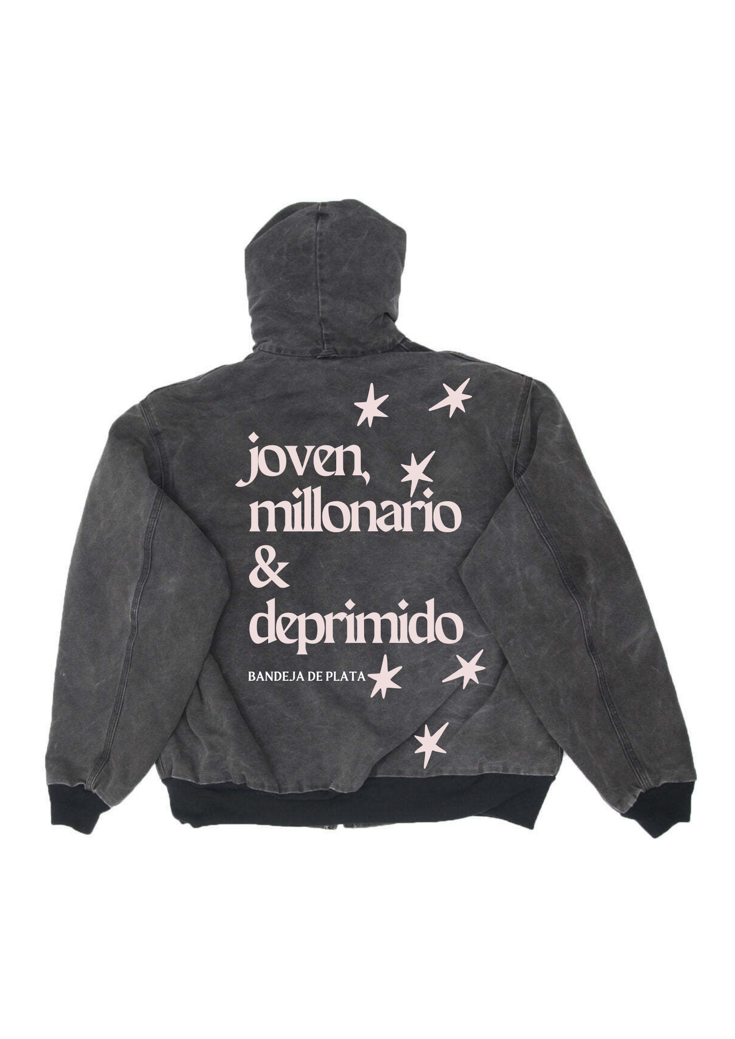 bandeja de plata Chamarra Zipup Hoodie "joven, millonario & deprimido" Washed Grey